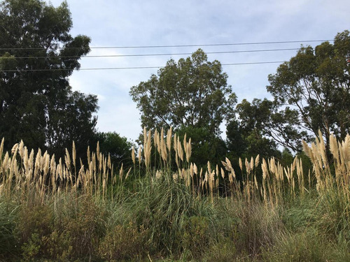 Lote En Santa Isabel De La Pedrera- Ruta 10 Interbalnearea-uruguay