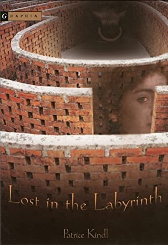 Libro:  Lost In The Labyrinth