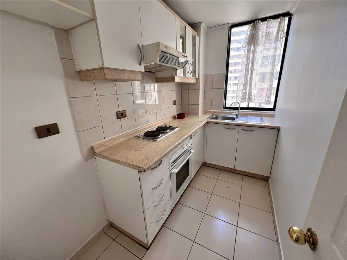 Imagen 4 de 19 de Departamento En Venta De 1 Dorm. En Santiago