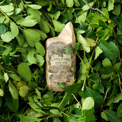 Yerba Mate Orgánica Anna Park 500gr Pack De 5