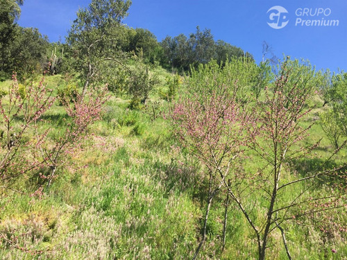 Parcela En Venta En Alhué 45,26 Ha