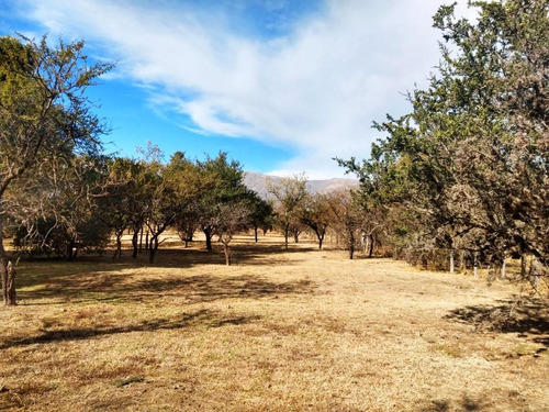 Imagen 5 de 7 de Terrenos 1000 M2 Venta Nuevo Merlo, Merlo San Luis