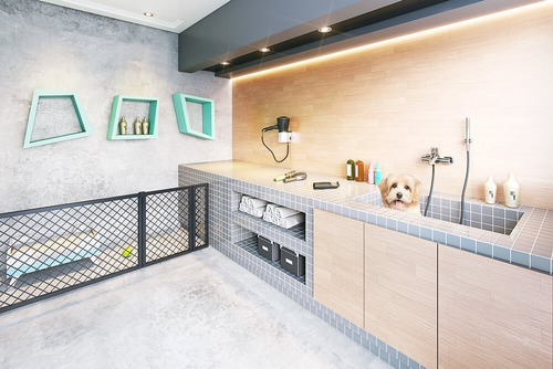 Imagem 6 de 18 de Apartamento - Ap00063 - 34953301