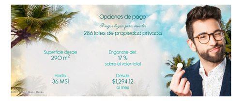 Imagen 6 de 7 de Lote De Playa En Venta En Costa Esmeralda Yucatan Rt 22-1612