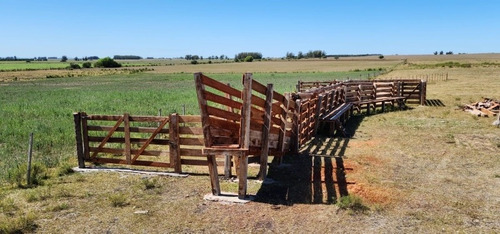 Imagen 13 de 30 de Excelente Campo Con Muy Buenas Mejoras .