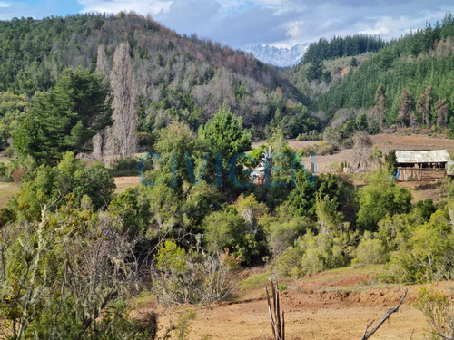 Tranquila Parcela 0,5ha Tranquilidad (92297)