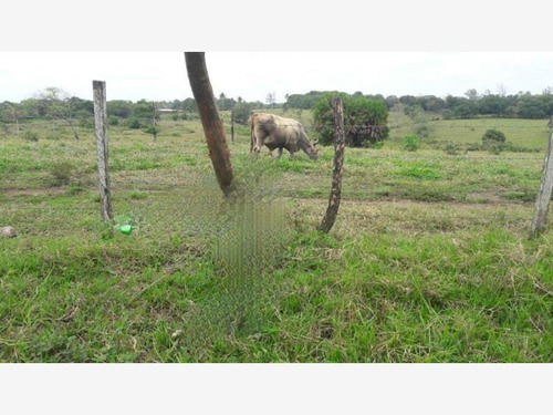 Rancho En Venta Rancho Agua Dulce