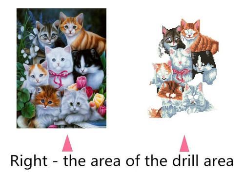 Pintura De Bricolaje, Regalos De Inauguración Gato