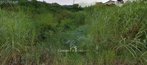 Imagem 6 de 8 de Terreno Para Investimento Atibaia - 3.200m² - Te0210-1