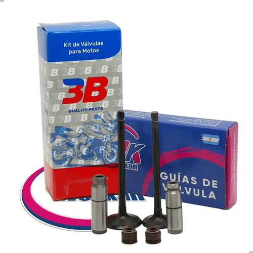 Kit Valvula 3b + Guias Fundicion Weskan Yamaha Fz 16