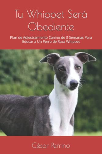 Tu Whippet Sera Obediente: Plan De Adiestramiento Canino De