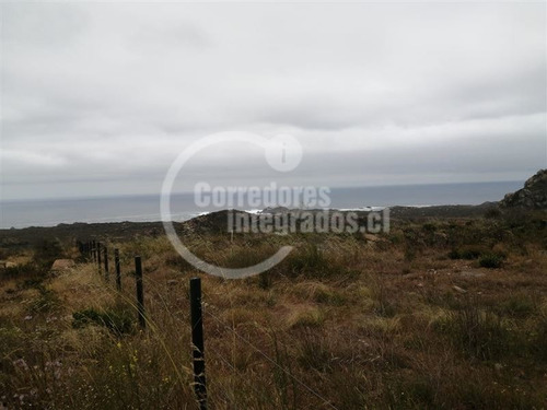 Imagen 4 de 19 de Sitio En Venta En Rocas Del Mar, Los Molles