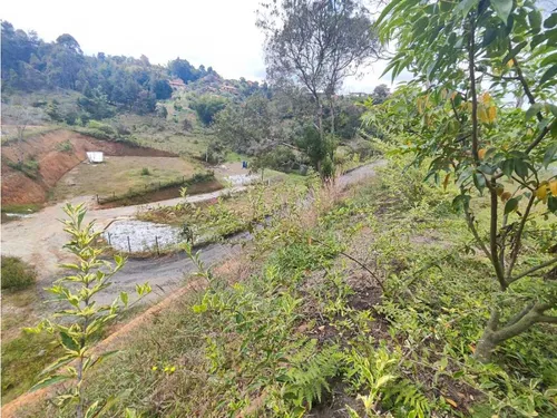 Lote En Rionegro Vereda La Playa