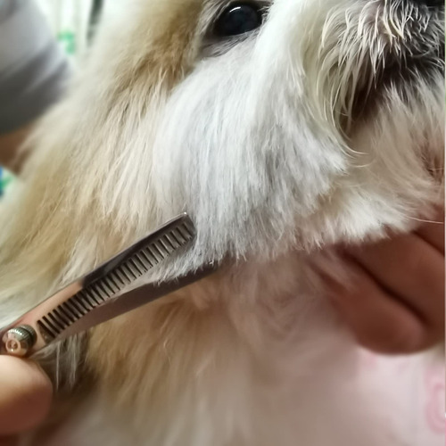 Juego De Tijeras Profesionales For Peluquería Canina Con