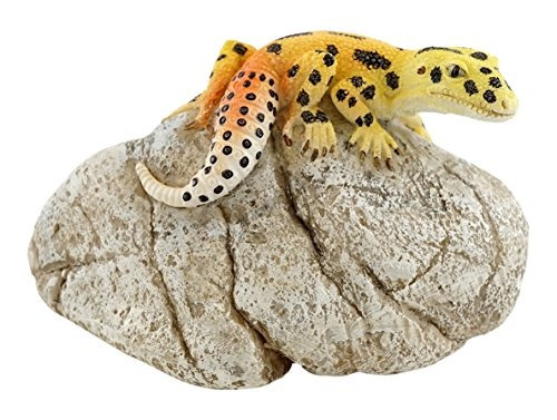Top Colección Miniatura Hada Del Jardín Y Gecko Leopardo Ter