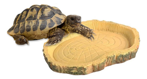 Cuenco De Agua Para Terrario, Accesorios Para Tortugas, Cuen