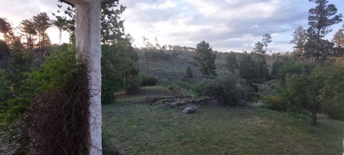 Imagen 15 de 29 de Venta De Campo + Vivienda En Athos Pampa - Tlc0609