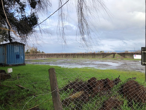 Vendo Parcela Agricola 18,3 H En Sector Nenquen