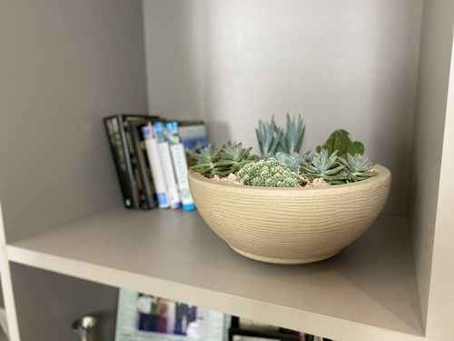 Imagen 3 de 7 de Maceta Floridis Plástico Bowl Premium 30x13 Cm Simil Piedra + Plato Color Beige