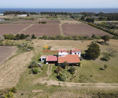 Imagen 7 de 30 de Chacra, 4 Has En Pajas Blancas, Casa, Excelente Vista Al Rio De La Plata