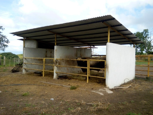 Imagen 19 de 27 de Se Vende Finca En Caicara De Maturin Sec Bajo Gde Ve02-1143cai-mtru
