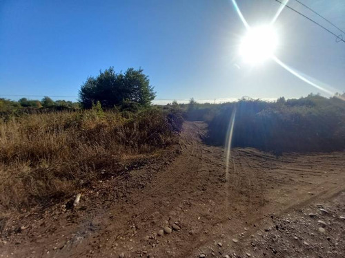 Los Espinos Km 11 Camino A Coihueco