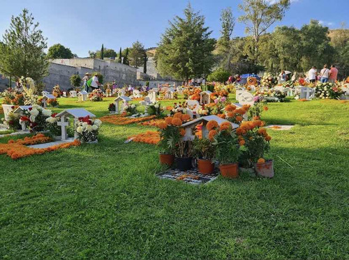 Lote A Perpetuidad Panteón Jardines Del Recuerdo