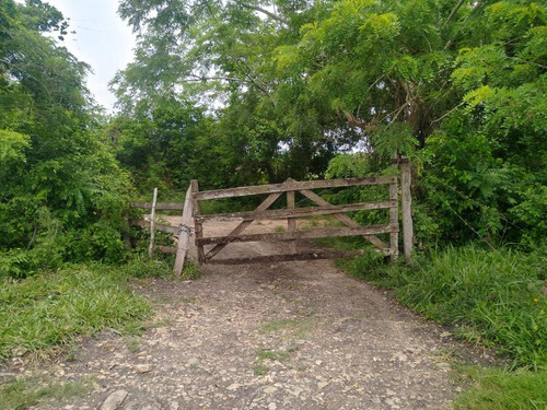 Venta Rancho 109 Has Autopista A Tampico En Tamiahua Veracruz