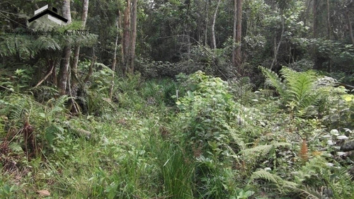 Terreno Residencial Chácaras Recanto Verde - 197