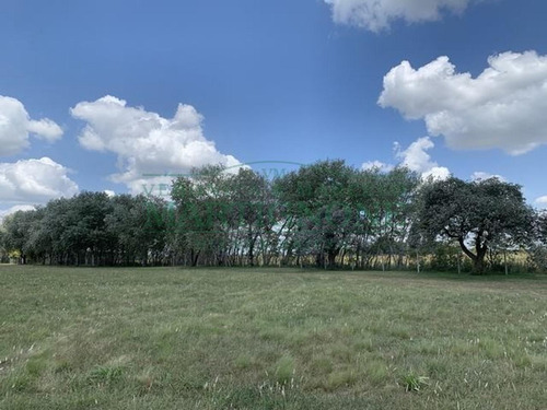 Imagen 12 de 13 de Terreno En Venta En Club De Campo La Ranita