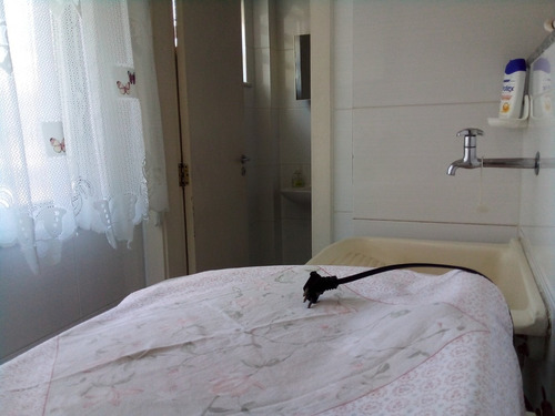 Imagem 13 de 14 de Apartamento 2 Quartos Cachambi
