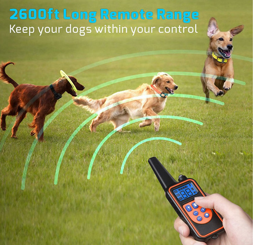 Imagen 3 de 9 de Collar Entrenador Electrico Perros Adiestramiento + Regalo