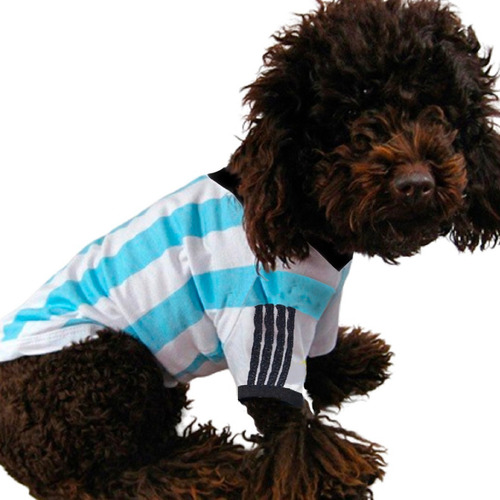 Remeras Camisetas Ropa Para Perros Mascotas Argentina!