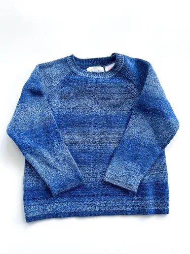 Champion sweater cheap vintage zara