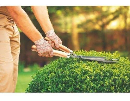 Tesoura De Cortar Grama Lâmina Profissional Tramontina
