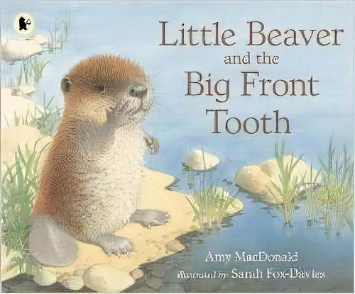 Little Beaver And The Big Front Tooth - Walker *o/p*, De Macdonald,amy. Editorial Walker Books En Inglés