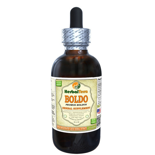 Boldo (peumus Boldus) Tintura Hojas Secas Extracto Líquido