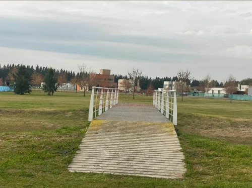 Imagen 5 de 11 de Venta De Lote 392 En Haras Del Sur 2