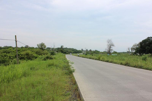 Venta Terreno Tuxpan Ver, Carretera Tuxpan-tamiahua 5 Has