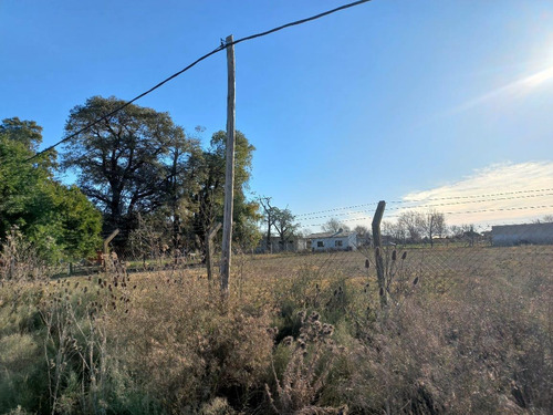 Imagen 4 de 6 de Terreno - El Zorzal (pda. Robles)