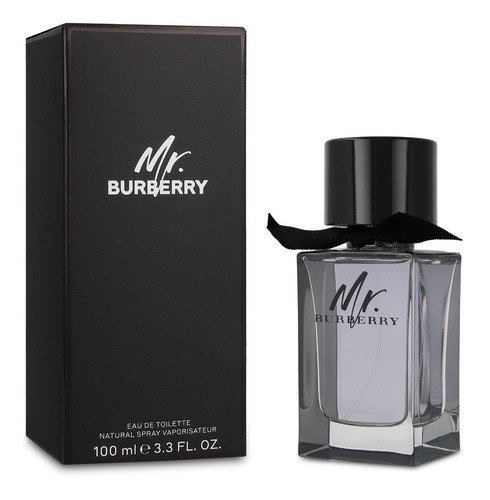 Mr Burberry 100ml Edt Spray