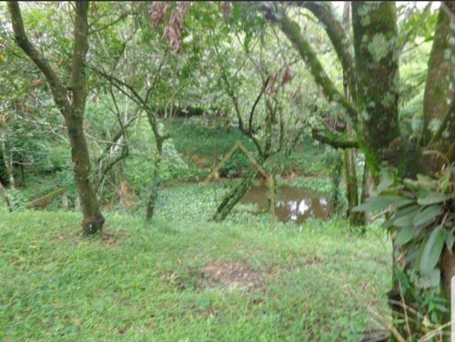 Imagem 17 de 22 de Chácara Com 3 Dormitórios À Venda, 5000 M² - Monte Verde - Americana/sp - Ch0067