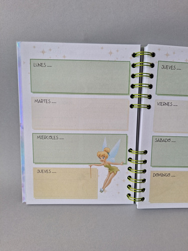 Planner Tinkerbell Campanita Peter Pan Disney