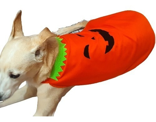 Roupa Roupinha Cachorro Capa Abóbora De Halloween - Tam 4