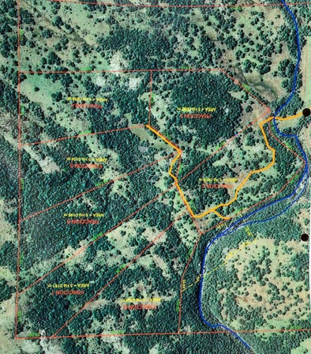 Imagen 11 de 30 de 7 Chacras De 5 Has Cada Una A 20 Km De Aigua Por Ruta 39 - Consulte !!!!!