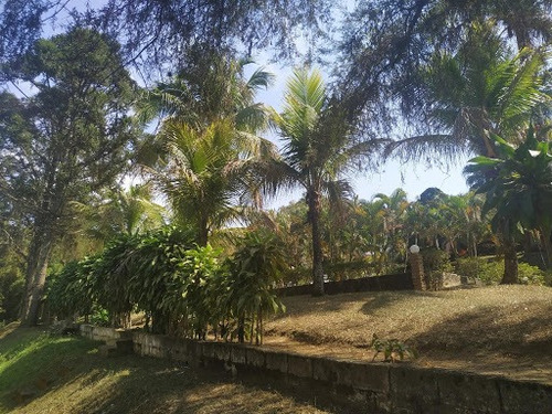 Imagem 26 de 30 de Lindo Sitio Com Fácil Acesso A Cidade De Caçapava-sp - Si0005