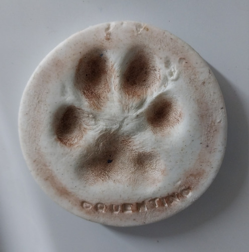 Recuerdo Huellita De Tu Perrito