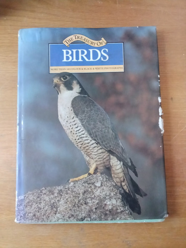 The Treasury Of Birds