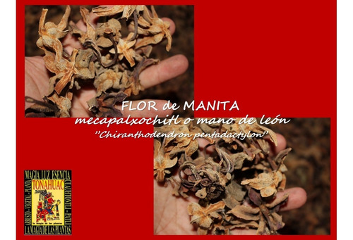 Flor De Manita 125gr Planta Organica Seca | MercadoLibre