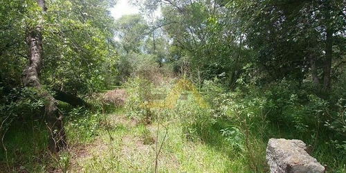 Imagen 5 de 11 de Terreno En Venta En Amaxac Tlaxcala.